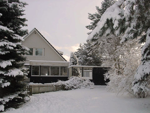 på vintern